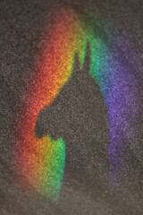 Horse's silhouette is cast in a rainbow
