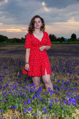 Beautiful woman posing in red dress in purple flower field at sunset