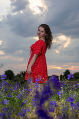 Beautiful woman posing in red dress in purple flower field at sunset