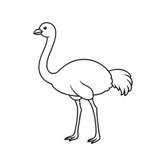 Fototapeta premium Cute ostrich illustration on a white background