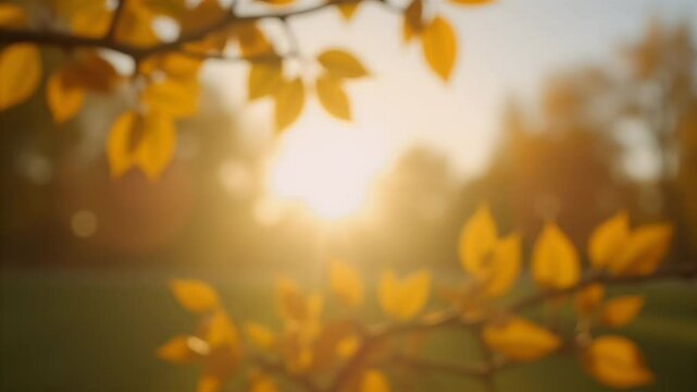 Sunlight flickers through yellow green foliage gentle lens flares sparkling amid soft bokeh updated headline highlights tranquil natural palette dreamy K slow motion loop universal utility wellness
