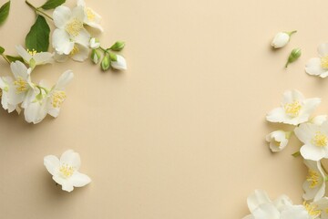 Beautiful jasmine flowers on beige background, flat lay. Space for text