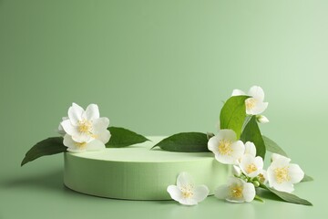 Beautiful jasmine flowers with leaves on green background. Space for text