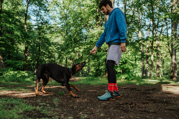 Trainer playing with doberman pinscher in forest