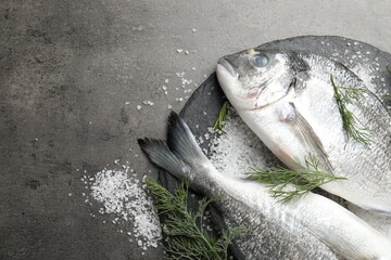 Organic seafood. Fresh raw dourade fish, salt and dill on grey table, flat lay. Space for text