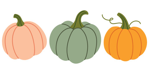 Three pumpkins in pink, green, and orange isolated on white background. Fall-themed illustration with seasonal vegetables
