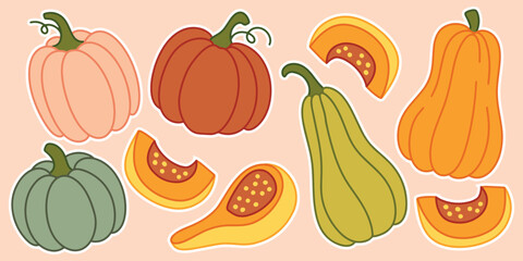 Collection of colorful pumpkins, squash, and gourd slices on soft pink background. Autumn harvest vegetables for seasonal use