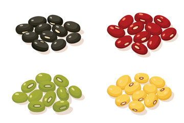 Vector illustration showing various types of beans arranged in groups on a white background.