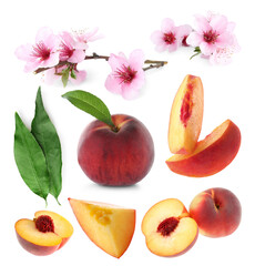 Ripe juicy peaches, blossoms and green leaves on white background, collage