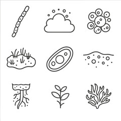 Aquatic Algae Icons. Outline style icons of Algae and Microflora: filamentous algae line, algae bloom cloud, pond scum cluster,