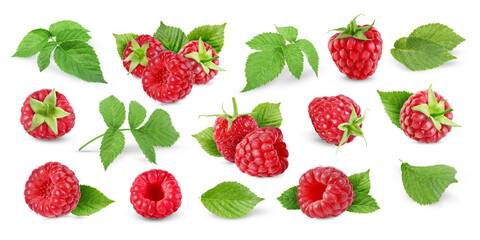 Fresh raspberries and green leaves on white background, collage