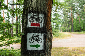 Znak szlaku rowerowego na drzewie w Polsce © Franciszek