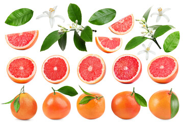 Fresh grapefruits, green leaves and flowers on white background, collage