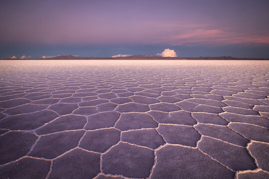 View of cracked earth stretches to the horizon under a soft, pastel-colored sky, creating a mesmerizing landscape, Uyuni, Departamento de Potos&Atilde;&shy;, Bolivia.