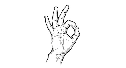 Fototapeta premium the hand shows ok a vintage sketch on a white background, hand-drawn doodle.