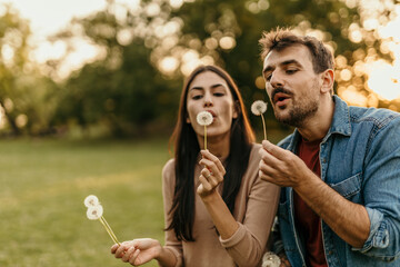Young couple blowing dandelions in a meadow at sunset