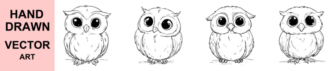 Hand drawn baby owl illustration vector cute adorable bird sketch cartoon animal big eyes feather nature wildlife black white art ink drawing