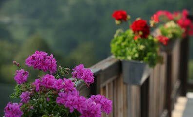 flowers in a vase hanging on a fence