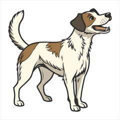 Dog Vector