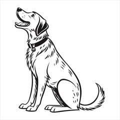 Dog Vector