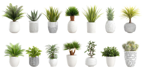 Fototapeta premium Row of potted houseplants in gray and white ceramic planters. Minimal front view on a clean background. Calm growth and wellbeing concept. For branding, web banners, and interior decor ads.