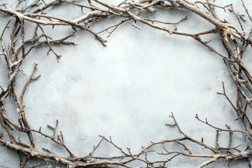 A frame of snow-covered branches on a white textured background creates a beautiful winter scene.