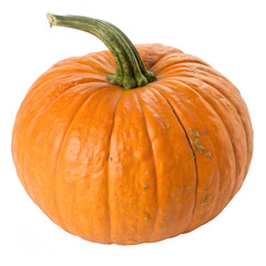 A single ripe orange pumpkin with a green stem isolated on transparent background