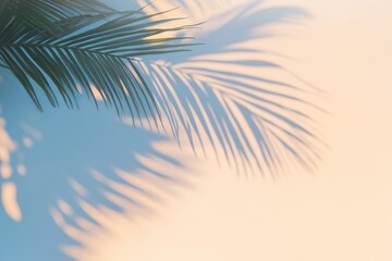 Shadows of palm leaves create a serene atmosphere on a light backdrop