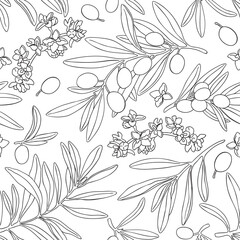 Drawing olive fruit branch seamless pattern vector. Hand painted floral illustration, tree branches, flowers bloom, leaves, fruits background. Drawings food. Edible foliage. For menu, wrapping card