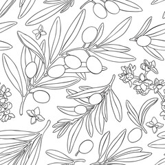 Seamless pattern drawing olive fruit branch vector. Hand painted floral illustration, tree branches, flowers bloom, leaves olive fruits background. Drawings food. Edible foliage. For menu, wrapping 
