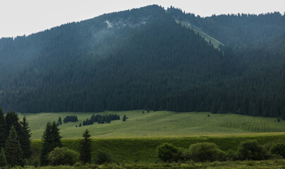 mountain landscape in the morning