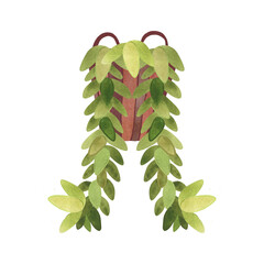 Succulent in a basket. Boho style interior decoration. Isolated watercolor illustration.