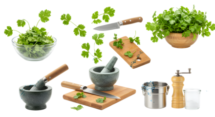 Fresh cilantro leaves and kitchen tools arranged for meal preparation, showcasing vibrant herbs and cooking utensils