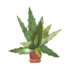 Aloe in a ceramic pot. Houseplant for alternative medicine. Succulent. Plant growing is a popular hobby. Isolated watercolor illustration.