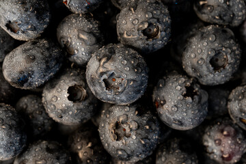 Close-up of fresh blueberries with water droplets, showcasing vibrant texture and natural freshness. Ideal for food, health, and organic lifestyle concepts