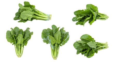 Fresh green spinach bunches arranged artistically on a white background, showcasing their vibrant color and texture