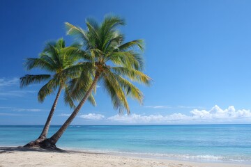 Fototapeta premium Twin Palm Trees Against a Sunny Ocean Backdrop â€“ Ideal for Vacation and Travel Themes