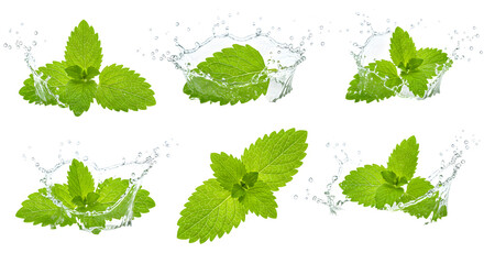 Fresh mint leaves splashing in water, showcasing vibrant green colors and dynamic movement, ideal for culinary or health themes