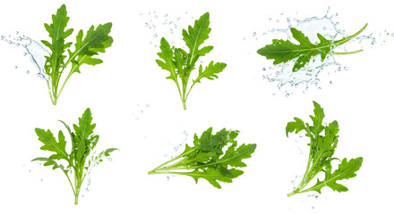 Fresh parsley leaves splashing in water, showcasing vibrant green colors and dynamic movement, ideal for culinary use