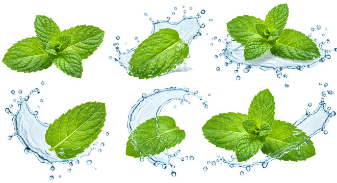 Fresh mint leaves splashing in water, creating a refreshing and vibrant scene, ideal for culinary or health-related content