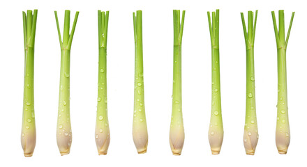 Freshly harvested lemongrass arranged neatly on a black background, showcasing droplets of water for a vibrant, natural look