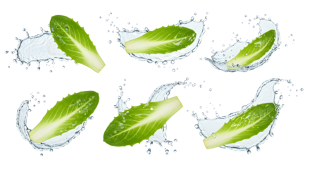 Fresh lettuce leaves splashing into clear water, creating dynamic movement and vibrant colors, perfect for culinary visuals