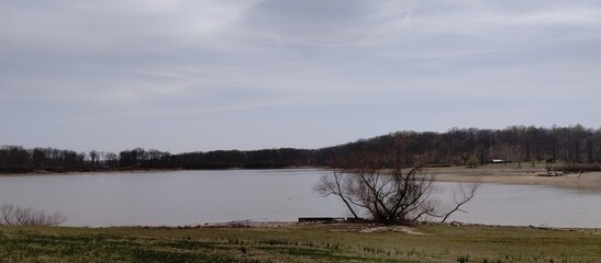 reflection of trees in the lake