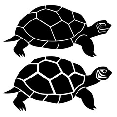 turtle vector illustration