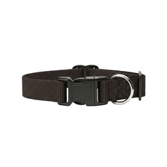 Brown nylon dog collar with buckle
