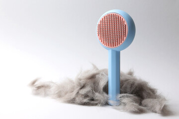 A Pet Hair Remover Featured on a Vibrant and Colorful Background 