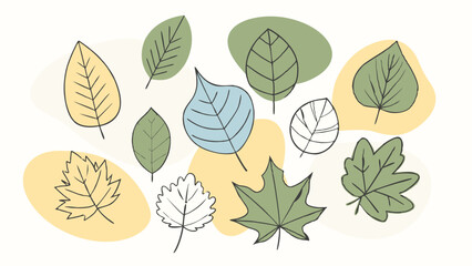 Minimalist leaves background. Vector illustration of leaf structure.