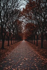 Golden Autumn Park: Warm Colors and Cozy Pathways