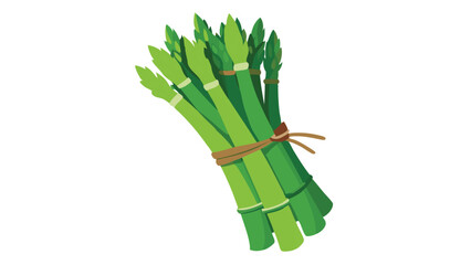 Green asparagus on white background vector illustration.