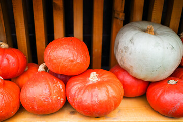 Decorative pumpkins and floral arrangements on wooden rack. Fall harvest aesthetics for interior...